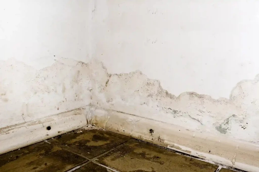 How Much Does Damp Devalue A House?