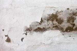 How to Check for Damp When Viewing a House