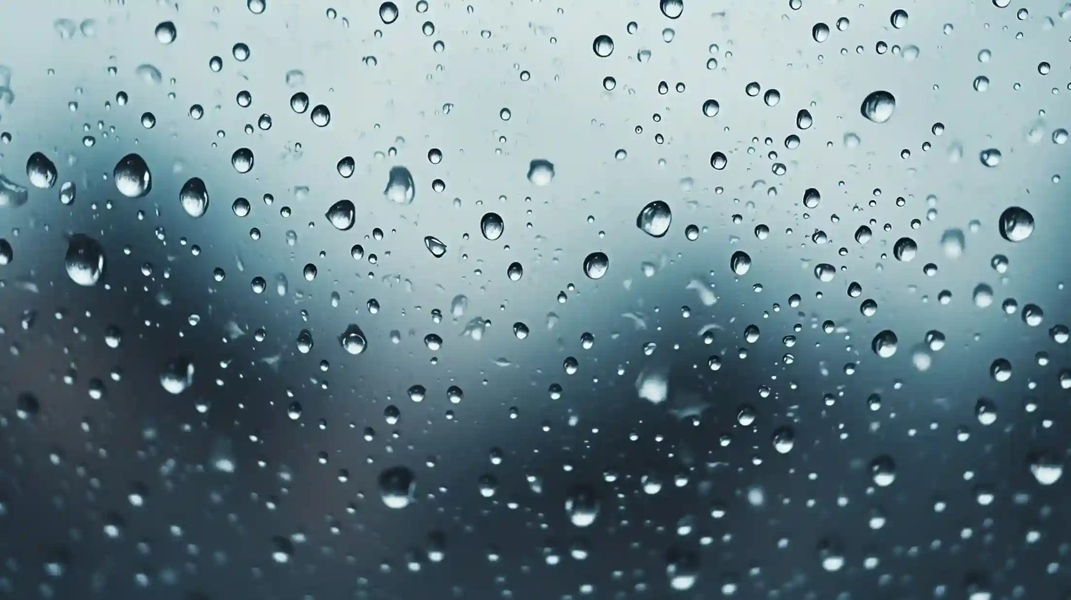 Does a Dehumidifier Stop Condensation on Windows